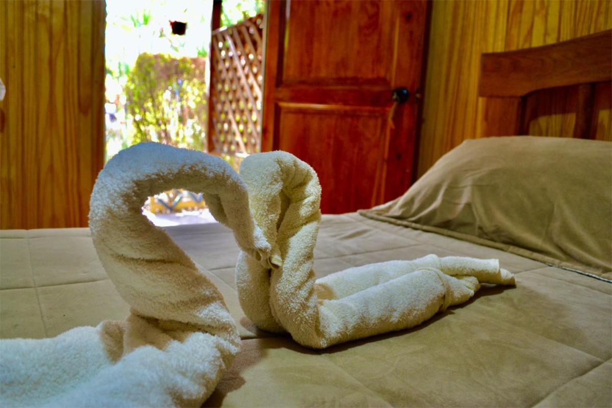 Hostal Michel Vicuna Ngoại thất bức ảnh