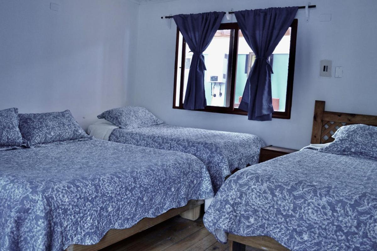 Hostal Michel Vicuna Ngoại thất bức ảnh