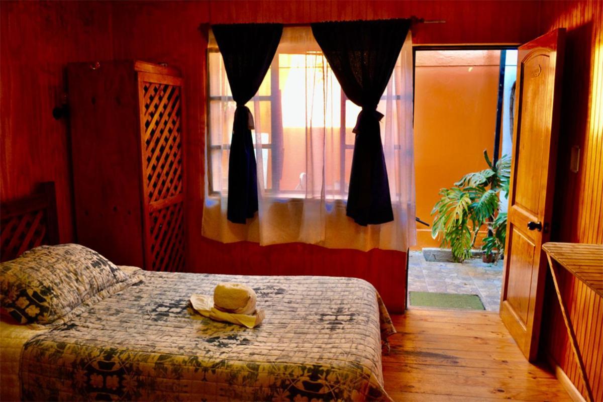Hostal Michel Vicuna Ngoại thất bức ảnh