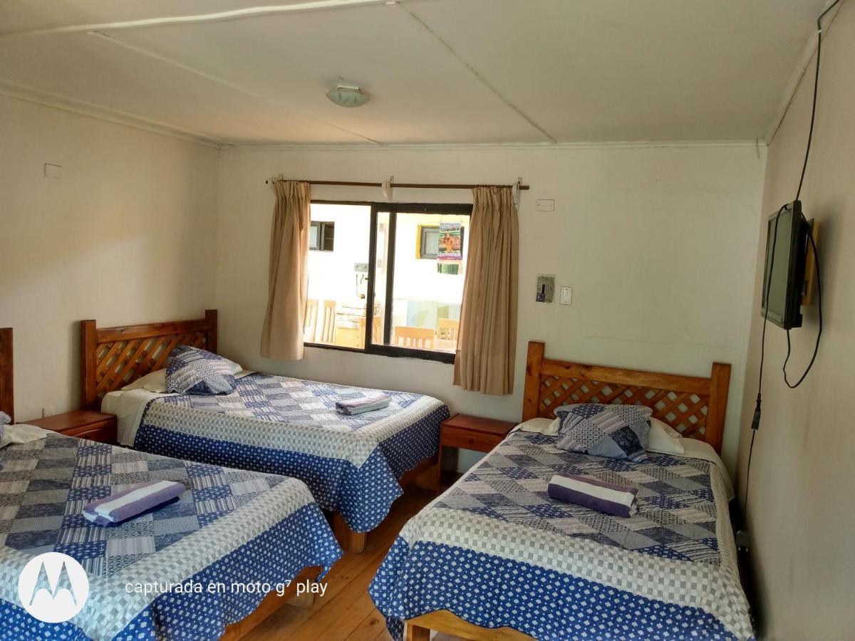 Hostal Michel Vicuna Ngoại thất bức ảnh